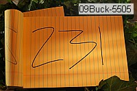 09buck-5505 thumbnail