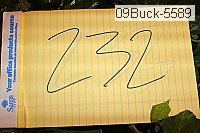 09buck-5589 thumbnail