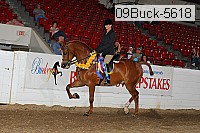 09buck-5618 thumbnail
