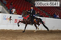 09buck-5641 thumbnail