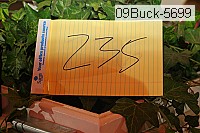 09buck-5699 thumbnail