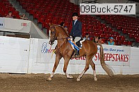 09buck-5747 thumbnail