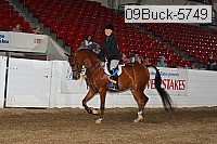 09buck-5749 thumbnail