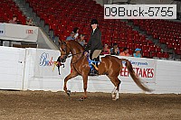 09buck-5755 thumbnail