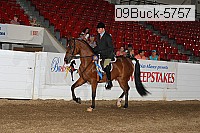 09buck-5757 thumbnail