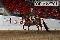 09buck-5761 thumbnail