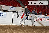 09buck-5765 thumbnail