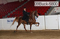 09buck-5800 thumbnail