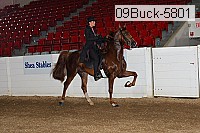 09buck-5801 thumbnail