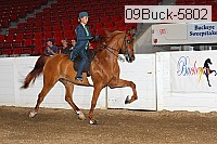 09buck-5802 thumbnail