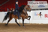 09buck-5803 thumbnail
