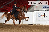 09buck-5804 thumbnail