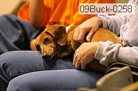 09buck-0258 thumbnail