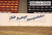 09buck-0384 thumbnail