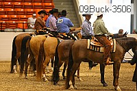 09buck-3506 thumbnail