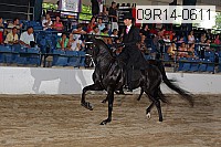 09r14-0611 thumbnail