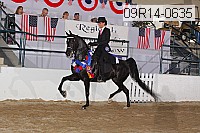 09r14-0635 thumbnail