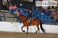 09r14-0694 thumbnail