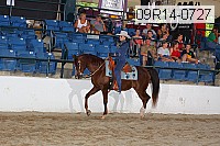 09r14-0727 thumbnail