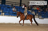 09r14-0767 thumbnail