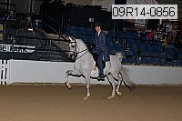 09r14-0856 thumbnail