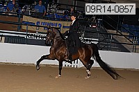 09r14-0857 thumbnail