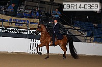 09r14-0859 thumbnail