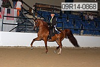 09r14-0868 thumbnail