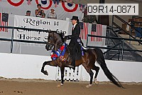 09r14-0871 thumbnail