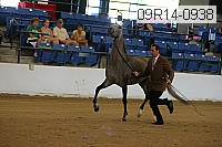 09r14-0938 thumbnail