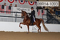 09r14-1093 thumbnail