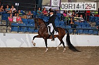 09r14-1294 thumbnail