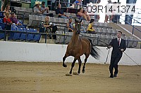 09r14-1374 thumbnail