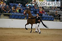 09r14-1378 thumbnail