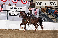 09r14-1596 thumbnail
