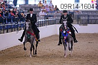 09r14-1604 thumbnail
