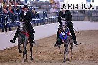 09r14-1605 thumbnail