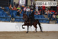 09r14-1839 thumbnail