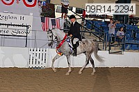 09r14-2294 thumbnail