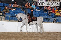 09r14-2654 thumbnail