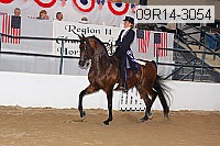 09r14-3054 thumbnail