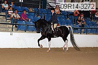 09r14-3272 thumbnail