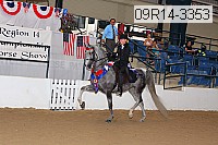 09r14-3353 thumbnail
