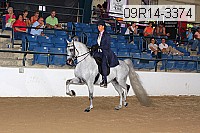 09r14-3374 thumbnail