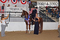09r14-3392 thumbnail