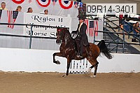 09r14-3401 thumbnail