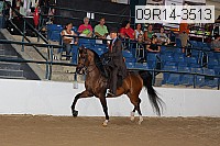 09r14-3513 thumbnail