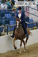 09r14-3536 thumbnail