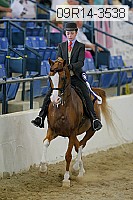 09r14-3538 thumbnail