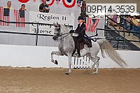 09r14-3539 thumbnail
